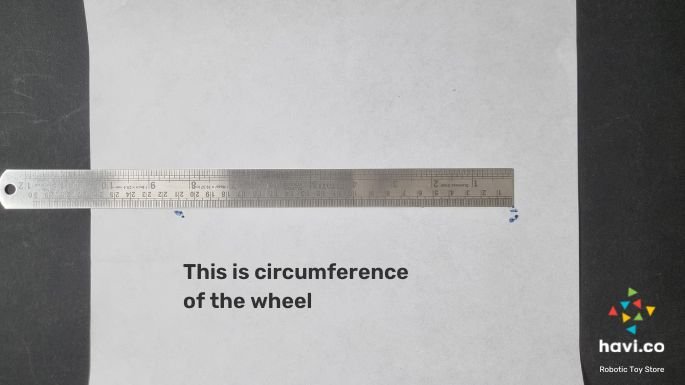 circle-wheel-activity2-circle blog 人的五官是指哪五官