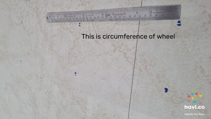 circle-wheel-activity3 circle blog 人的五官是指哪五官