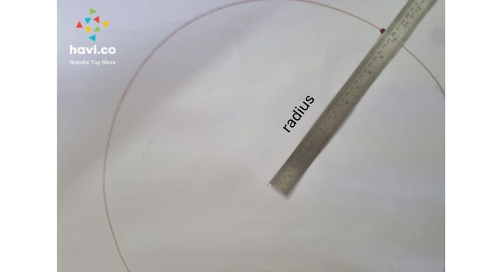 circle-wheel-activity4 circle blog 人的五官是指哪五官