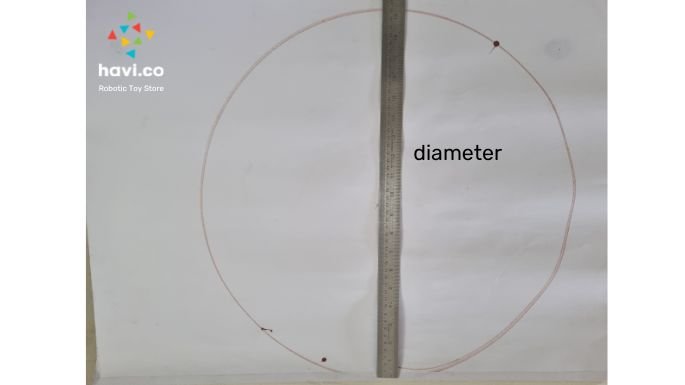circle-wheel-activity4-circle blog 人的五官是指哪五官